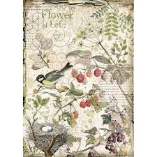 Ριζόχαρτο Stamperia 21x29cm A4, Forest flowers and fruits (RI116)