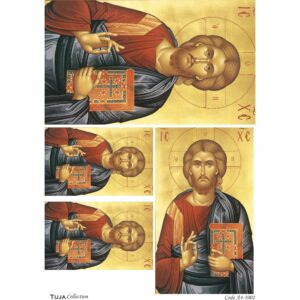 Ριζόχαρτο Tuja Collection A4 1002_RZ4002
