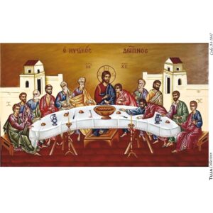 Ριζόχαρτο Tuja Collection A4 1047_RZ4011