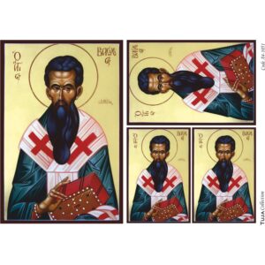 Ριζόχαρτο Tuja Collection A4 1051_RZ4034