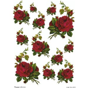 Ριζόχαρτο Tuja Collection A4 1058_RZ4013