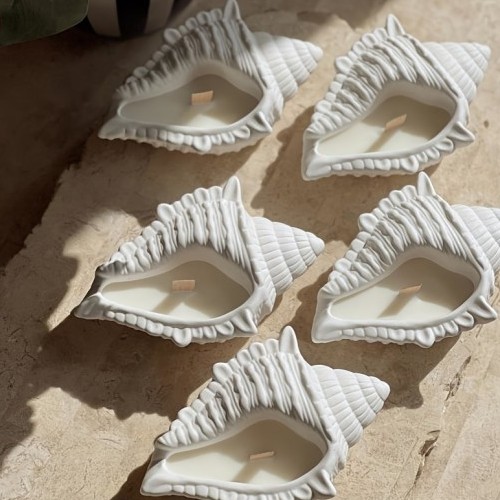 kaloupi silikonis koxili