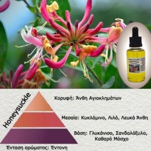 Αρωμα για κερί-Honeysuckle-8841-1