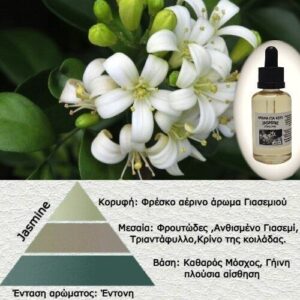 Αρωμα για κερί-Jasmine-luzi-AR343219-1