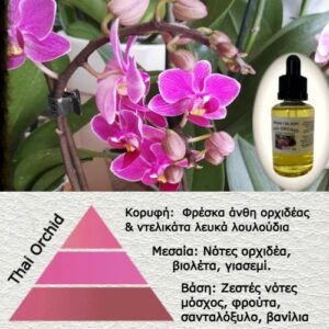 Αρωμα για κερί-Thai orchid-luzi-AR508787-1