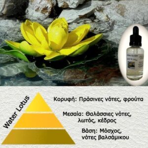 Αρωμα για κερί-Water Lotus-luzi-AR500343-1