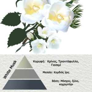 Αρωμα για κερί και πορσελάνη White Musk-AR554100