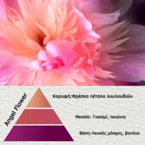 Αρωμα για κερί και πορσελάνη Angel Flower-AR503576