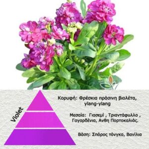 Αρωμα για κερί και πορσελάνη Violet (Βιολέτα)-AR 921604-B