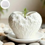 kaloupi silikonis doxeio kardia