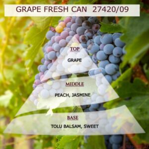 ΑΡΩΜΑΤΑ ΓΙΑ ΚΕΡΙ GRAPE FRESH CAN 27420.09-AR27420