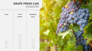 ΑΡΩΜΑ ΓΙΑ ΚΕΡΙΑ GRAPE FRESH CAN 27420.09