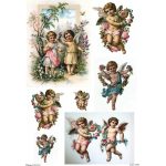 Ριζόχαρτο Tuja Collection A3 12006_RZ4021