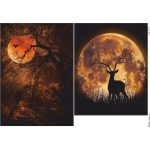 Ριζόχαρτο Tuja Collection A3 12127_RZ4030