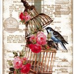 Ριζόχαρτο 30x40cm  -RZ254