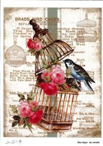 Ριζόχαρτο 30x40cm  -RZ254