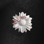 Ελαστικό στοιχείο 2,5cm- EL236