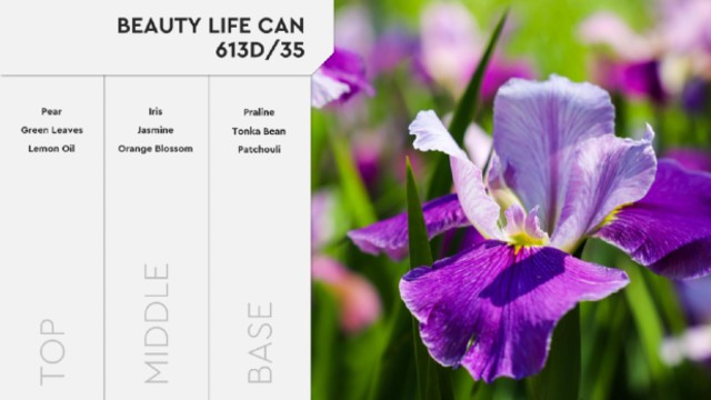 aroma gia keri BEAUTY LIFE