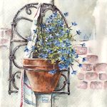 Χαρτοπετσέτα (XA112)