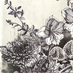 Χαρτοπετσέτα (XA113)