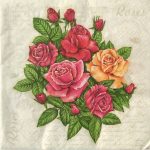 Χαρτοπετσέτα (XA108)