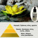 Άρωμα για κερί & reed diffuser Water & Lotus**  -AR500343 - Image 2