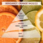 Άρωμα για κερί & reed diffuser BERGAMOT ORANGE**-AR9420/22