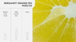 Άρωμα για κερί & reed diffuser BERGAMOT ORANGE**-AR9420/22 - Image 2