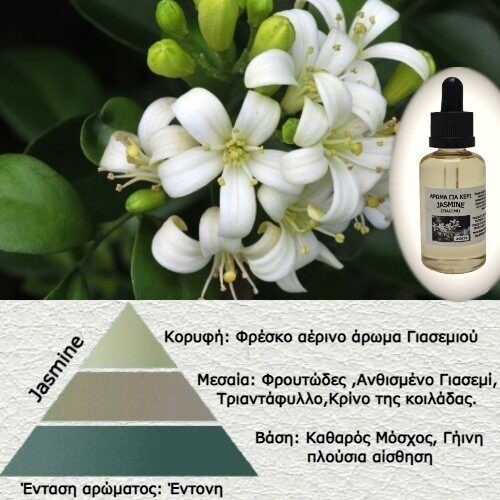 Άρωμα για κερί "Jasmine" (Γιασεμί)-AR343219
