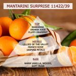 Άρωμα για κερί & reed diffuser MANTARINI SURPRISE**-AR15624/19