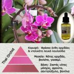 Άρωμα για κερί & reed diffuser Thai Orchid  (Ορχιδέα Ταϊλάνδης)**   AR508787