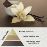 Άρωμα για κερί-reed diffuser Vanilla Love**  AR339191