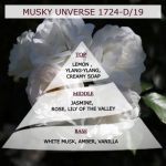 Άρωμα για κερί-reed diffuser  MUSKY UNIVERSE **-AR1724-D/19
