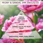 Άρωμα για κερί & reed diffuser  PEONY SANDAL**-AR290125/10