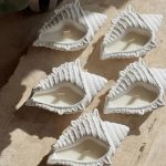 Καλούπι Σιλικόνης Κοχύλι -KS6255