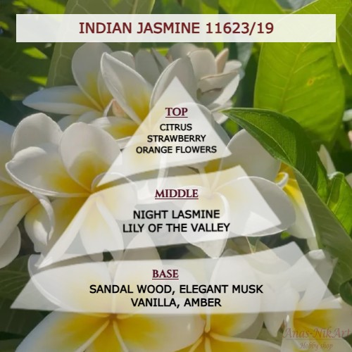 aroma gia keri INDIAN JASMINE 11623