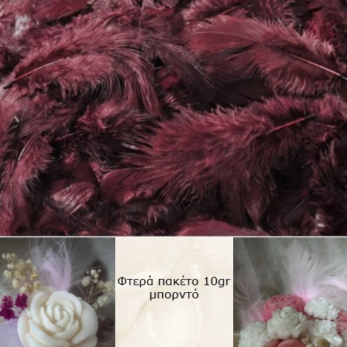 Φτερά πακέτο μπορντό-FT7264