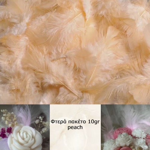 Φτερά πακέτο 10gr peach-FT6939