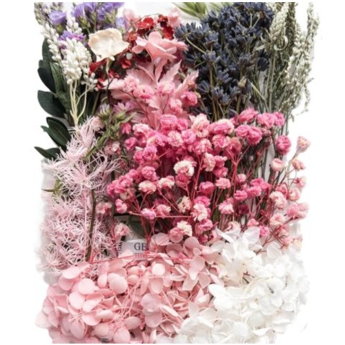 Αποξηραμένα λουλούδια mix, Pink blush-AP7229