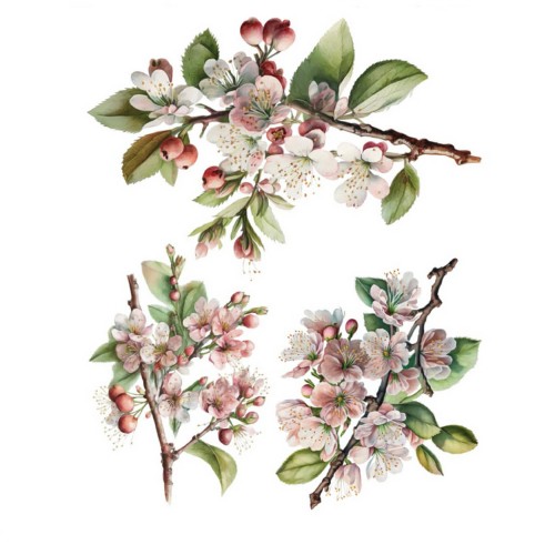 Χαρτί Easy Transfer, Κλαδιά αμυγδαλιάς,25x35cm-LN5128