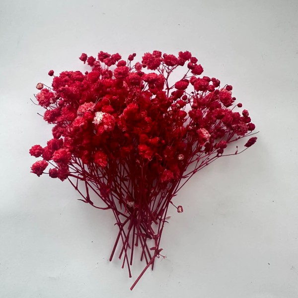 κόκκινη-αποξηραμένη-γυψοφύλλη-για-κατασκευές