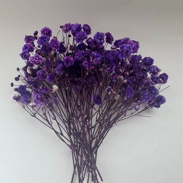 Μοβ Αποξηραμένη Γυψοφύλλη: Η λεπτομέρεια που απογειώνει τα DIY Projects σας