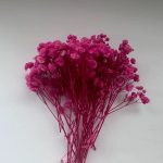 Αποξηραμένη γυψοφύλλη Ρόζ 26τεμ.-AP3760