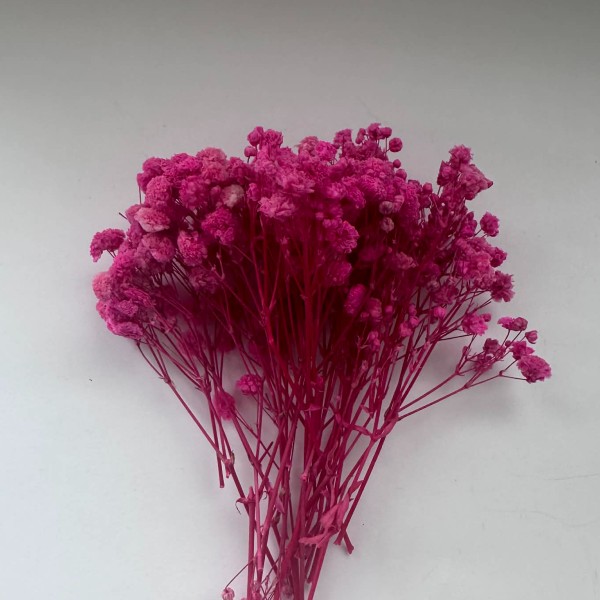 Αποξηραμένη γυψοφύλλη Ρόζ 26τεμ.-AP3760