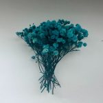 Αποξηραμένη γυψοφύλλη Τυρκουζ 26τεμ.-AP3790