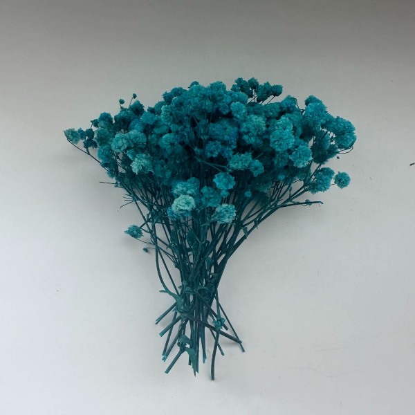 Αποξηραμένη γυψοφύλλη Τυρκουζ 26τεμ.-AP3790