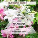 Άρωμα για κερί & reed diffuser LILIUM LOTUS** 30523/39