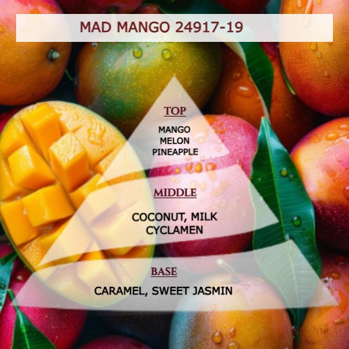Άρωμα για κερί & reed diffuser MANGO** 24917/19